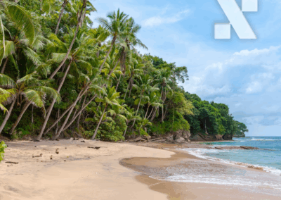 Estudo setorial sobre Timeshare