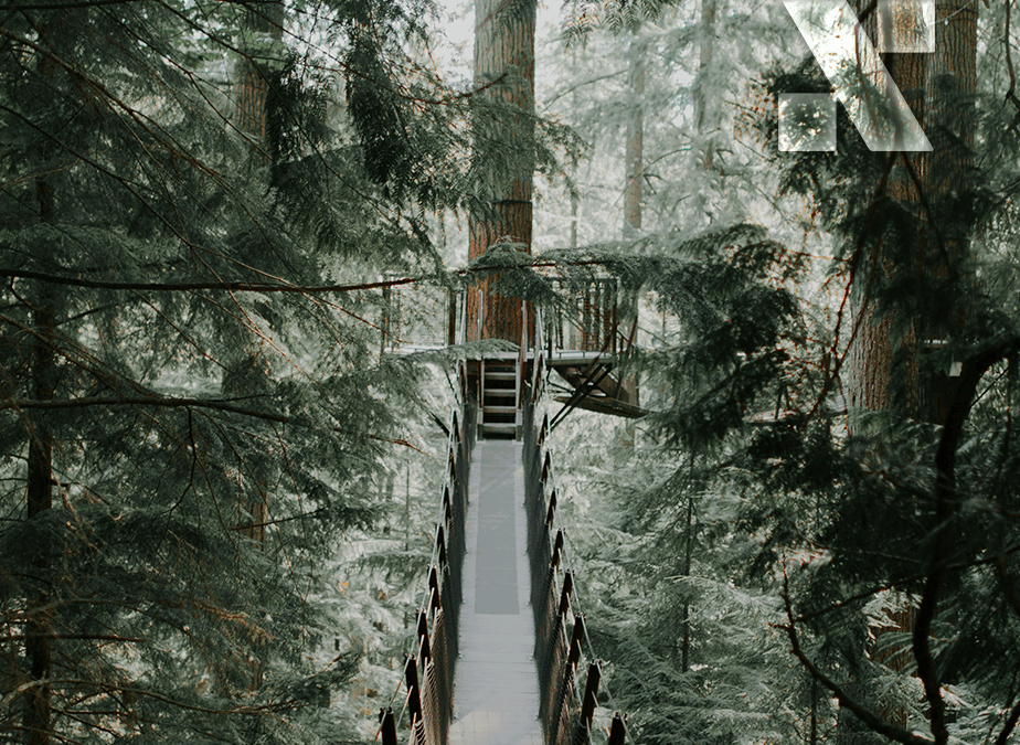 Parque de Aventura Paraíba