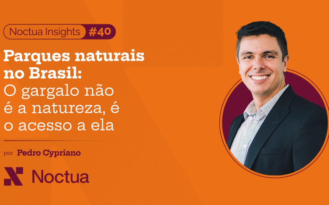Parques naturais no Brasil: o gargalo não é a natureza, é o acesso a ela